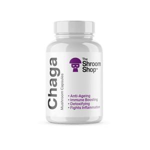 Chaga Mushroom supplement capsules