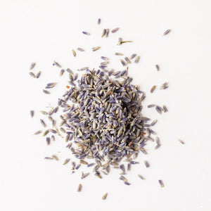 dried lavender buds scattered on a white background, herbal wellness ingredient