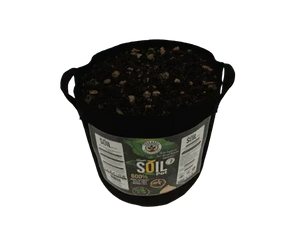 Organic soil pot for cannabis plant growing, nutrient-rich soil in black container