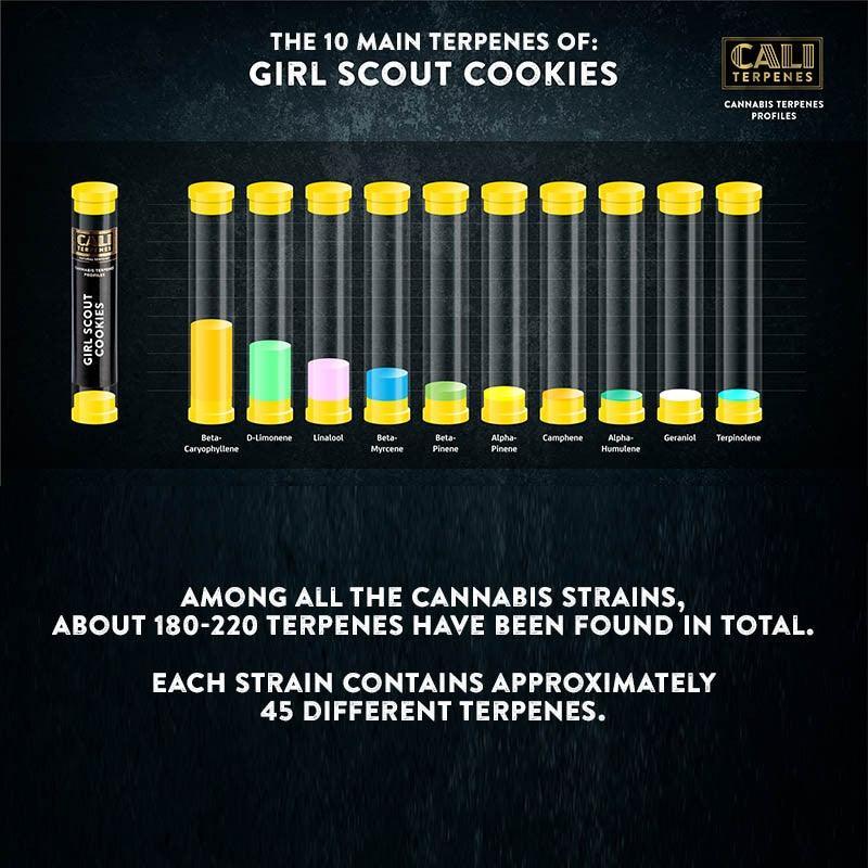 Cali Terpenes - Girl Scout Cookies, 1 ml - D Vape Store