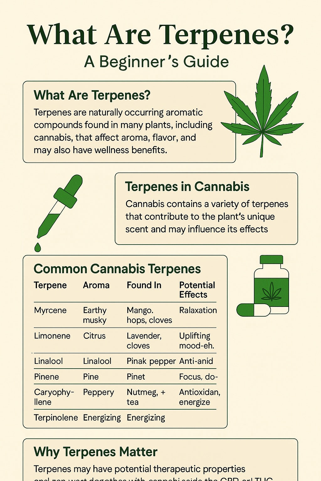 What are Terpenes Infographic for Cannabis Clinics Malta