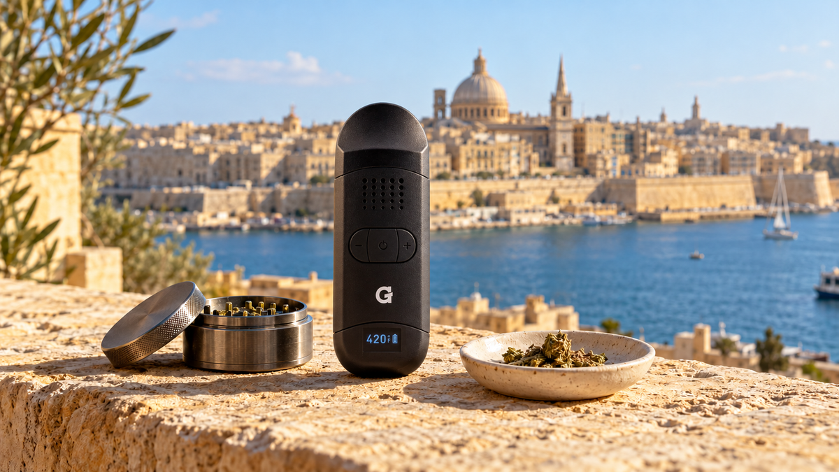 G Pen Dash II dry-herb vaporizer beside a grinder and dried herbs, with Valletta’s waterfront in the background.