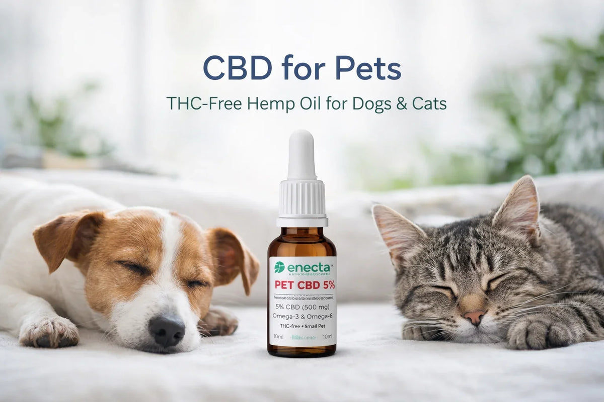 CBD oil for pets with a sleeping dog and cat, THC-free hemp oil for dogs and cats