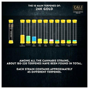 Cali Terpenes - 24K Gold, 1 ml - D Vape Store