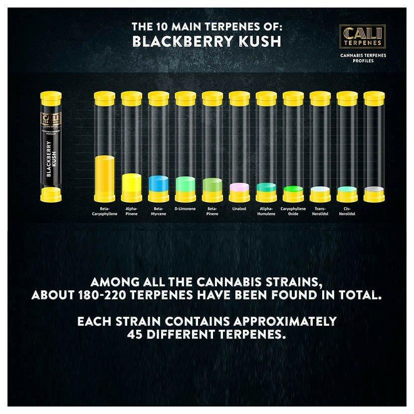 Cali Terpenes - Blackberry Kush, 1 ml - D Vape Store