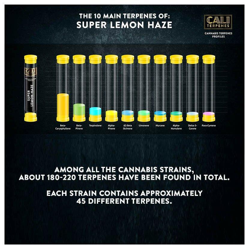 Cali Terpenes - Super Lemon Haze, 1 ml - Terpene Profile