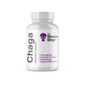 Chaga Mushroom supplement capsules