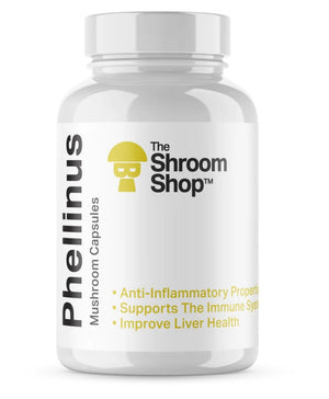 Phellinus mushroom capsules