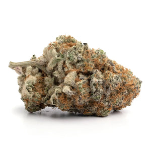 Strawberry Cough Seeds - Sativa - 25% THC - CCM seeds cured flowers