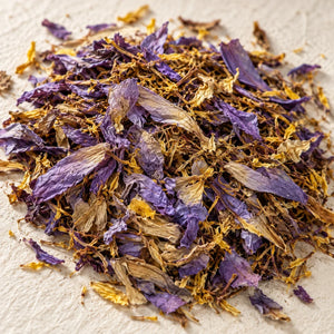 Close-up of dried Blue Lotus petals and stamens