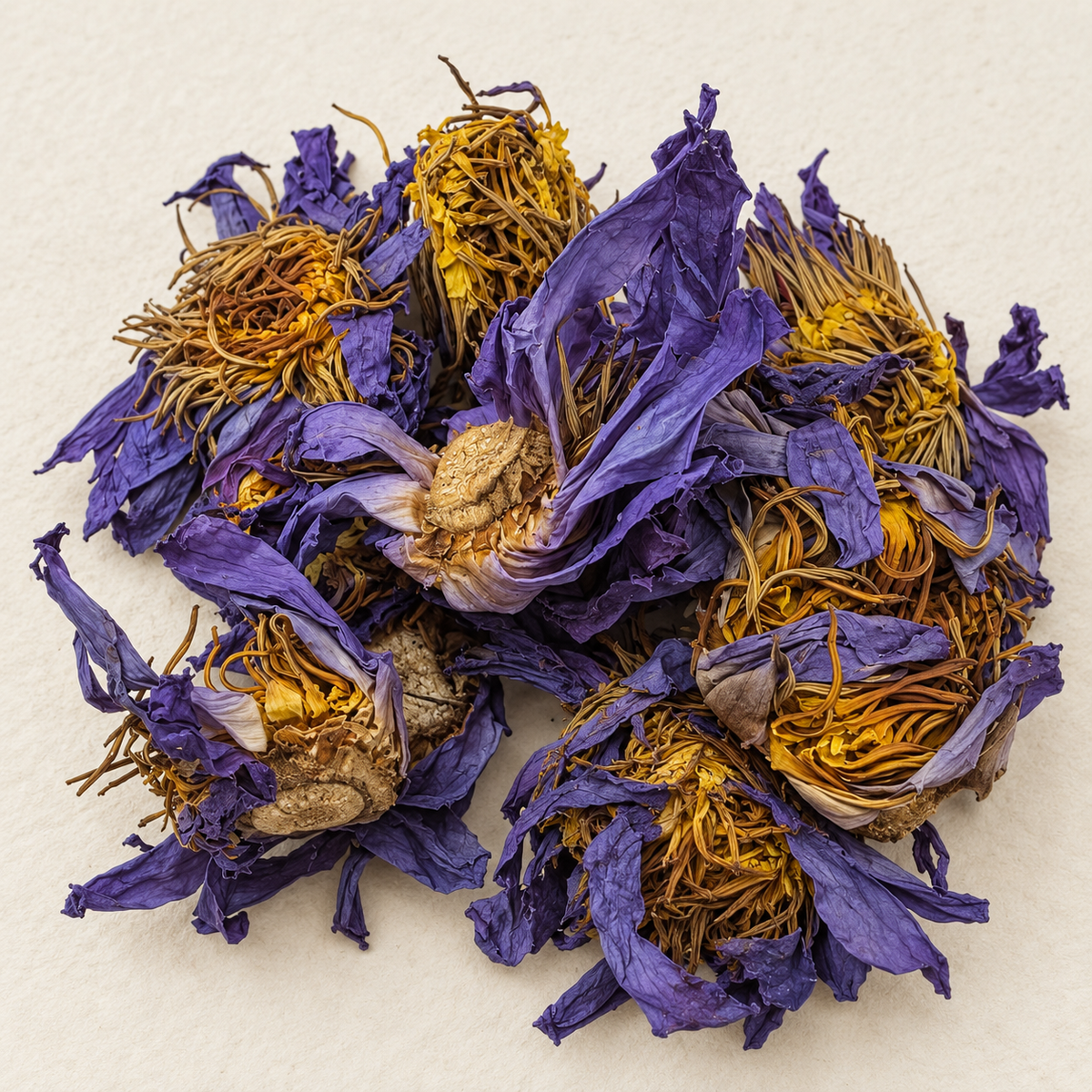 Close-up of dried Blue Lotus whole flowers