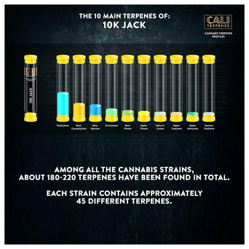 Cali Terpenes - 10K Jack, 1 ml - Pine, Lemon, earthy and tropical terpenes - D Vape Store