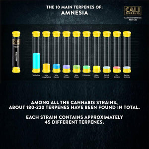 Cali Terpenes - Amnesia, 1 ml - D Vape Store