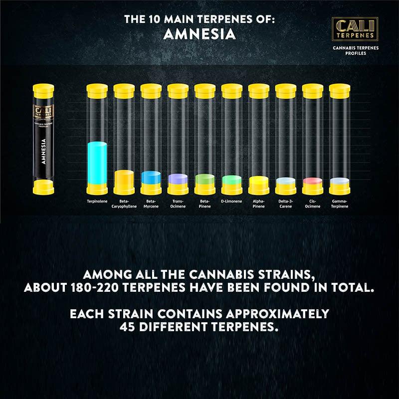 Cali Terpenes - Amnesia, 1 ml - D Vape Store