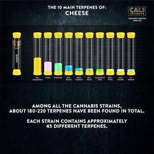 Cali Terpenes - Cheese, 1 ml - D Vape Store