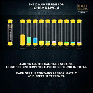 Cali Terpenes - Chemdawg 4, profile