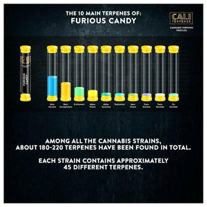 Cali Terpenes - Gelato, 1 ml - D Vape Store