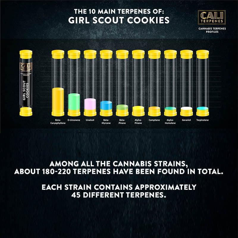 Cali Terpenes - Girl Scout Cookies, 1 ml - D Vape Store