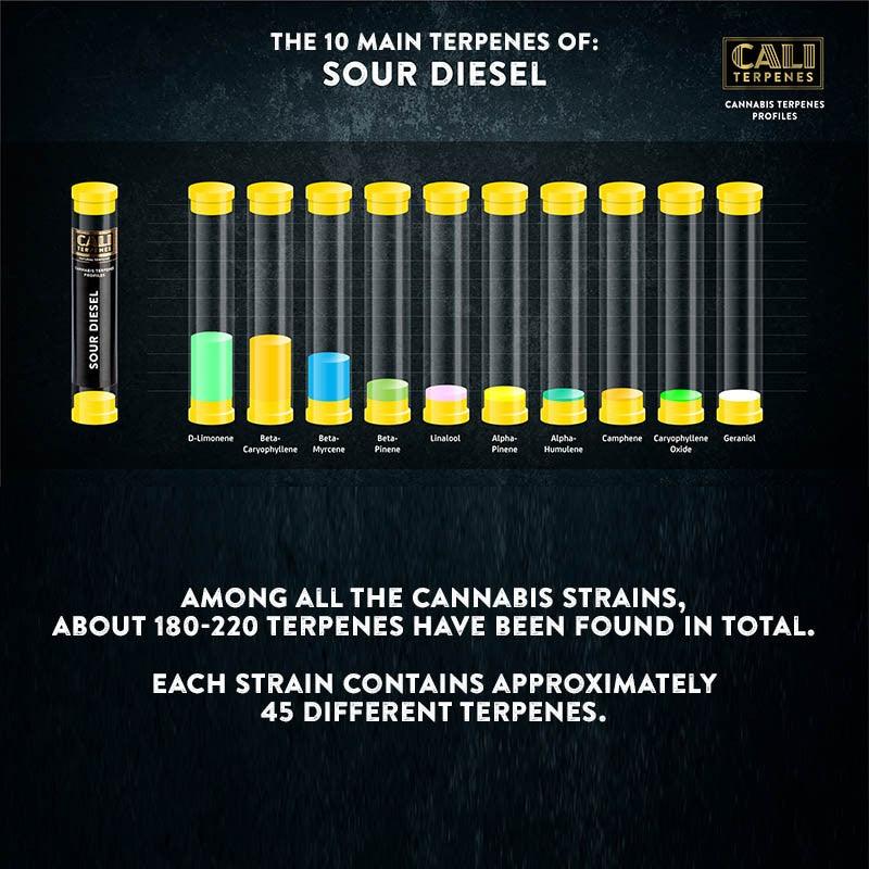 Cali Terpenes - SOUR DIESEL terpene profile