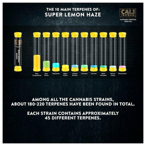 Cali Terpenes - Super Lemon Haze, 1 ml - D Vape Store