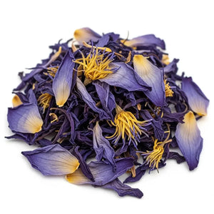 Dried Canntropy Blue Lotus petals and stamens close-up, Nymphaea caerulea