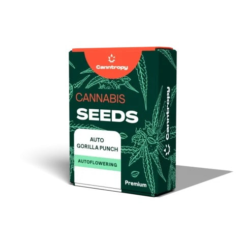 Canntropy Auto Gorilla Punch Autoflowering Feminized Cannabis Seeds