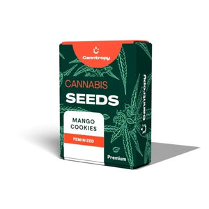 Canntropy Mango Cookies Feminized Cannabis Seeds — Sweet Indica-Dominant Strain 3 seed pack