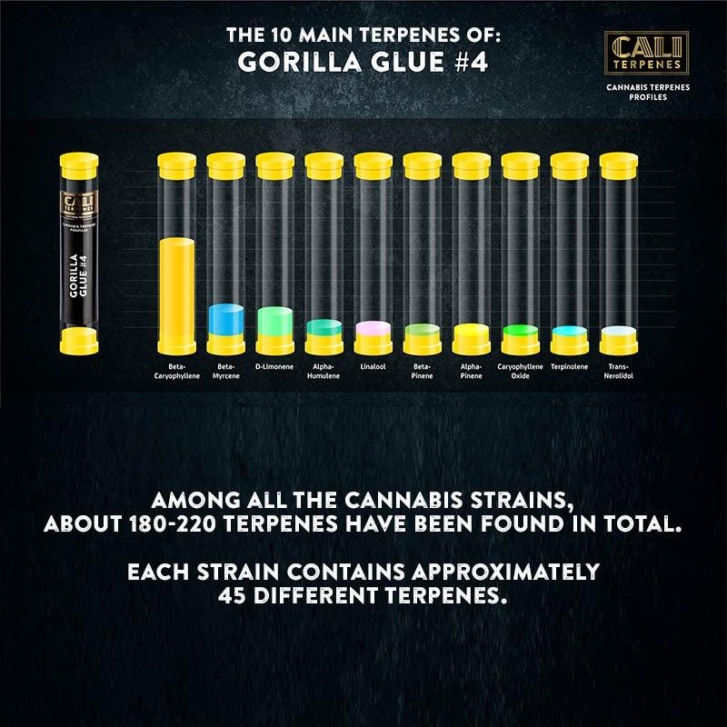 Cali Terpenes - Gorilla Glue, 1 ml