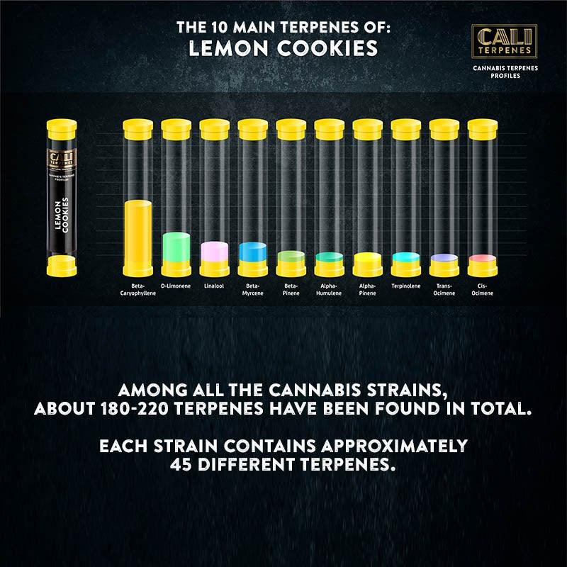 Cali Terpenes - Lemon Cookies, 1 ml