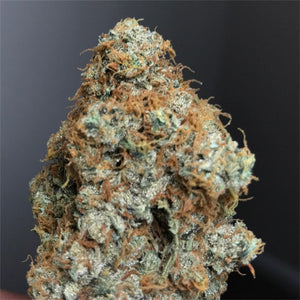 Seeds - Triple Cheese 22% THC - Indica - 3 seeds - D Vape Store